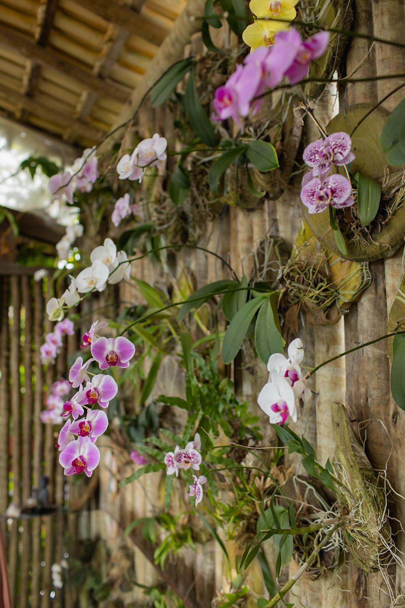 Отель Orquidea Cafe Гуарапари Экстерьер фото